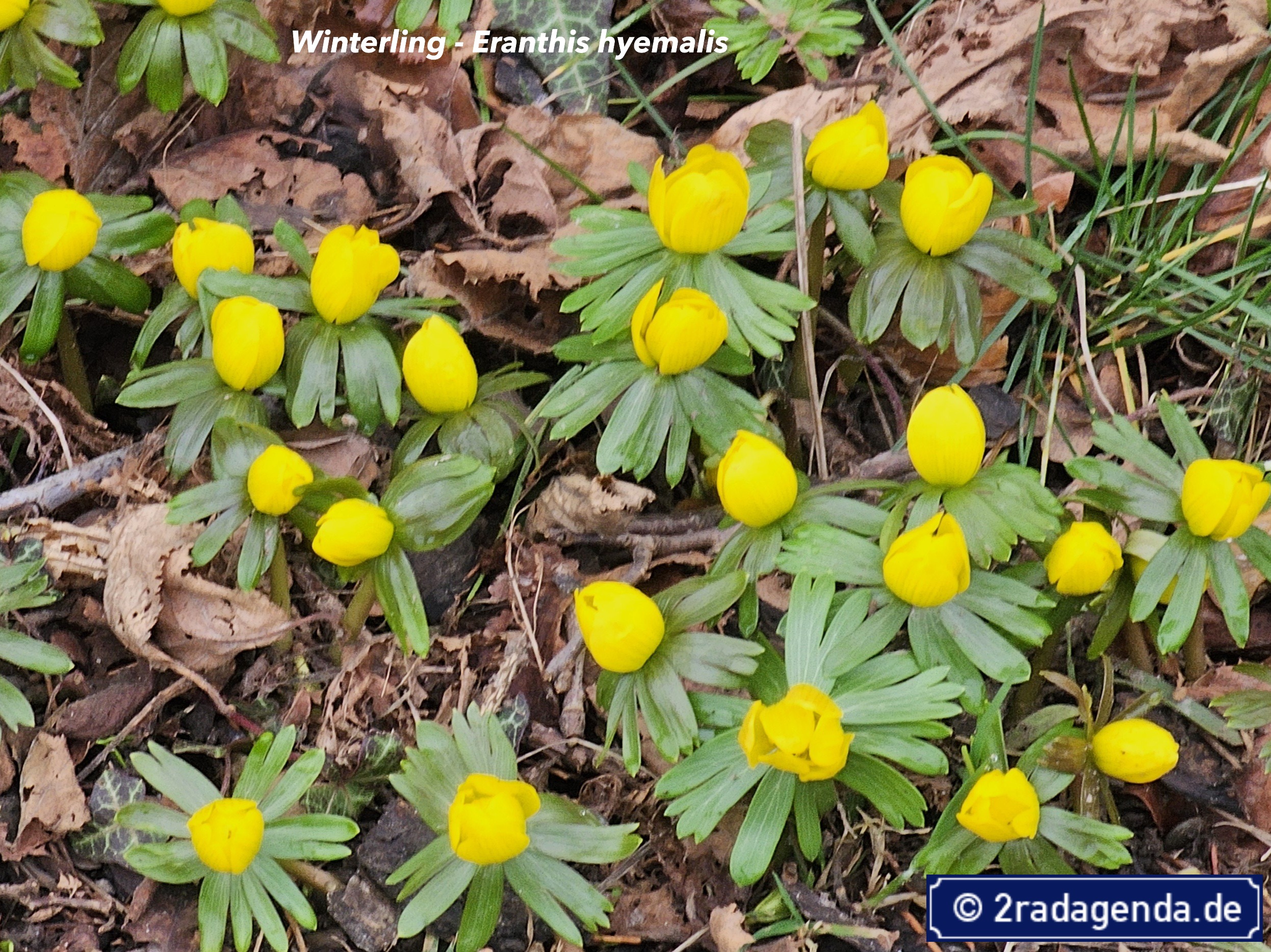 Fit durch den Winter